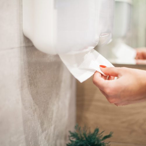 Hand of woman takes paper towel in bathroom